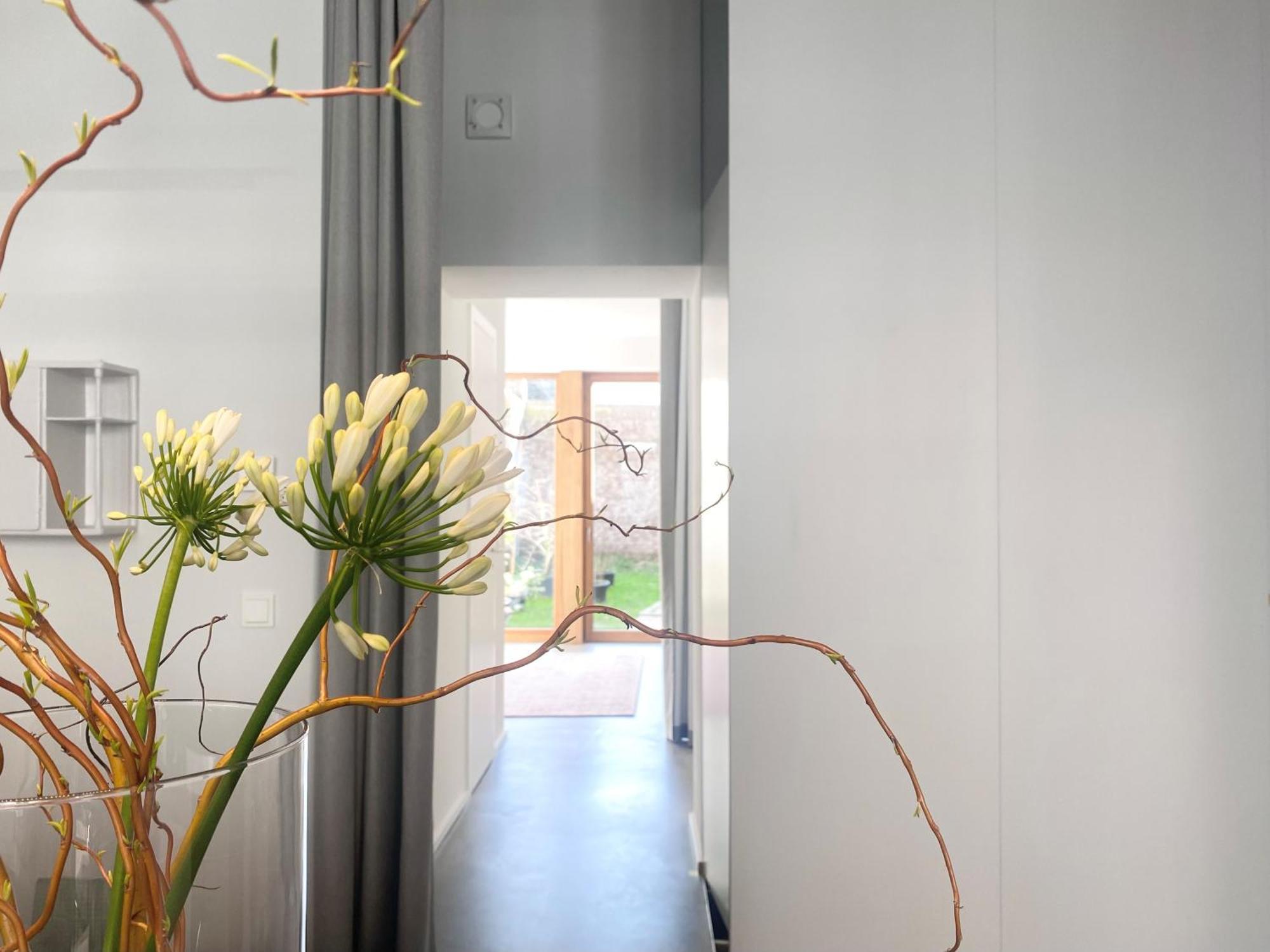 Zehuus Gartenstudio Mit Terrasse Köln Exterior foto