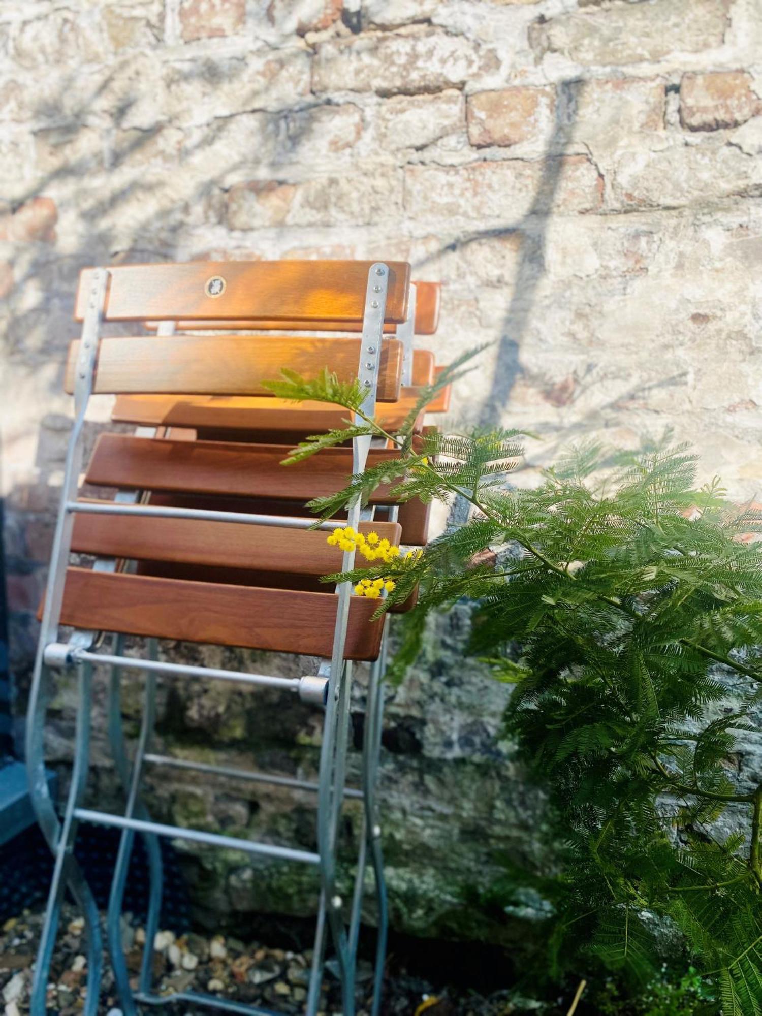 Zehuus Gartenstudio Mit Terrasse Köln Exterior foto